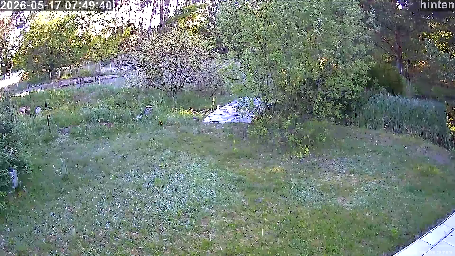 Capture from May 17, 2026 at 05:49 AM