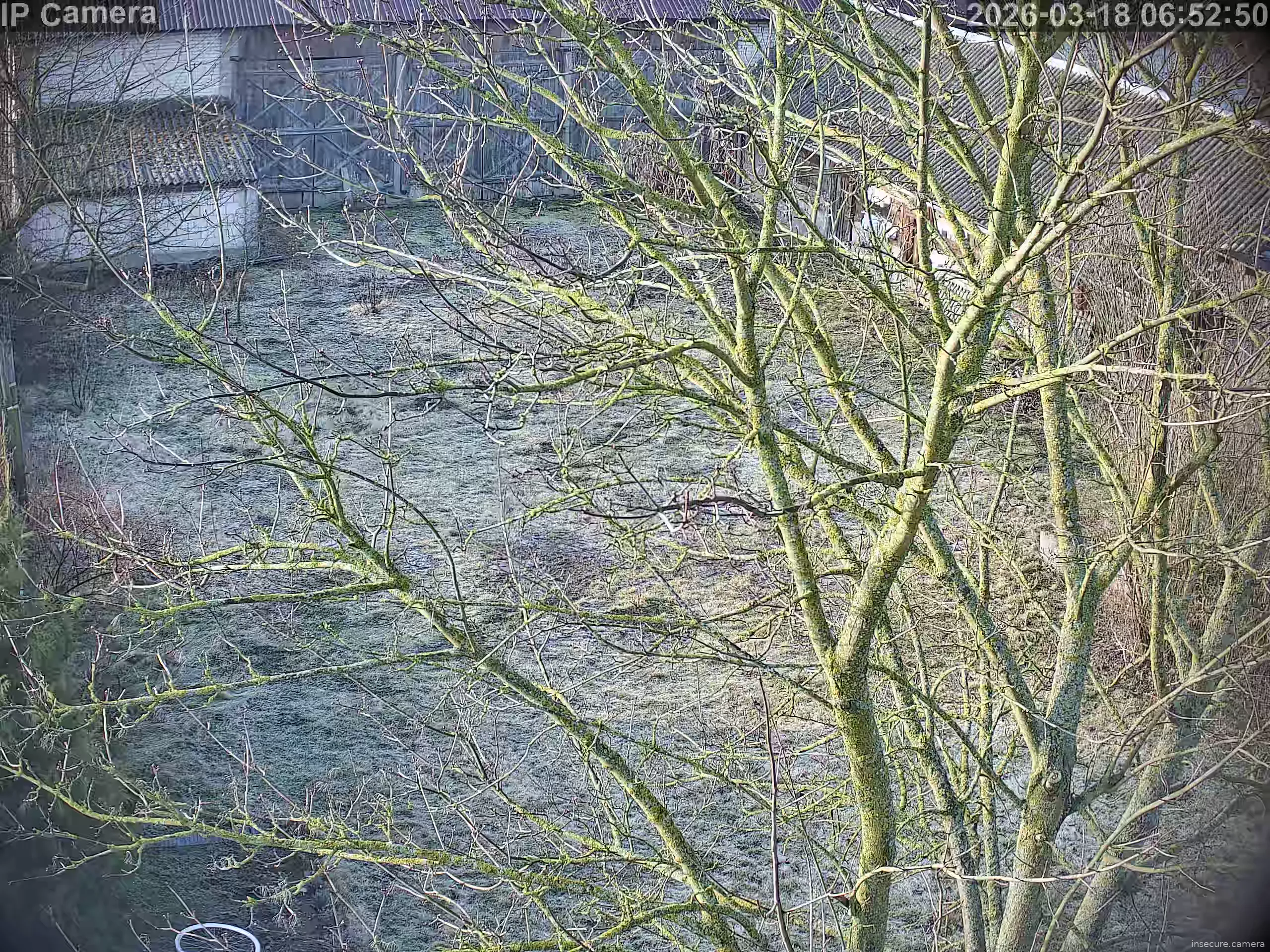 Capture from Mar 18, 2026 at 05:53 AM