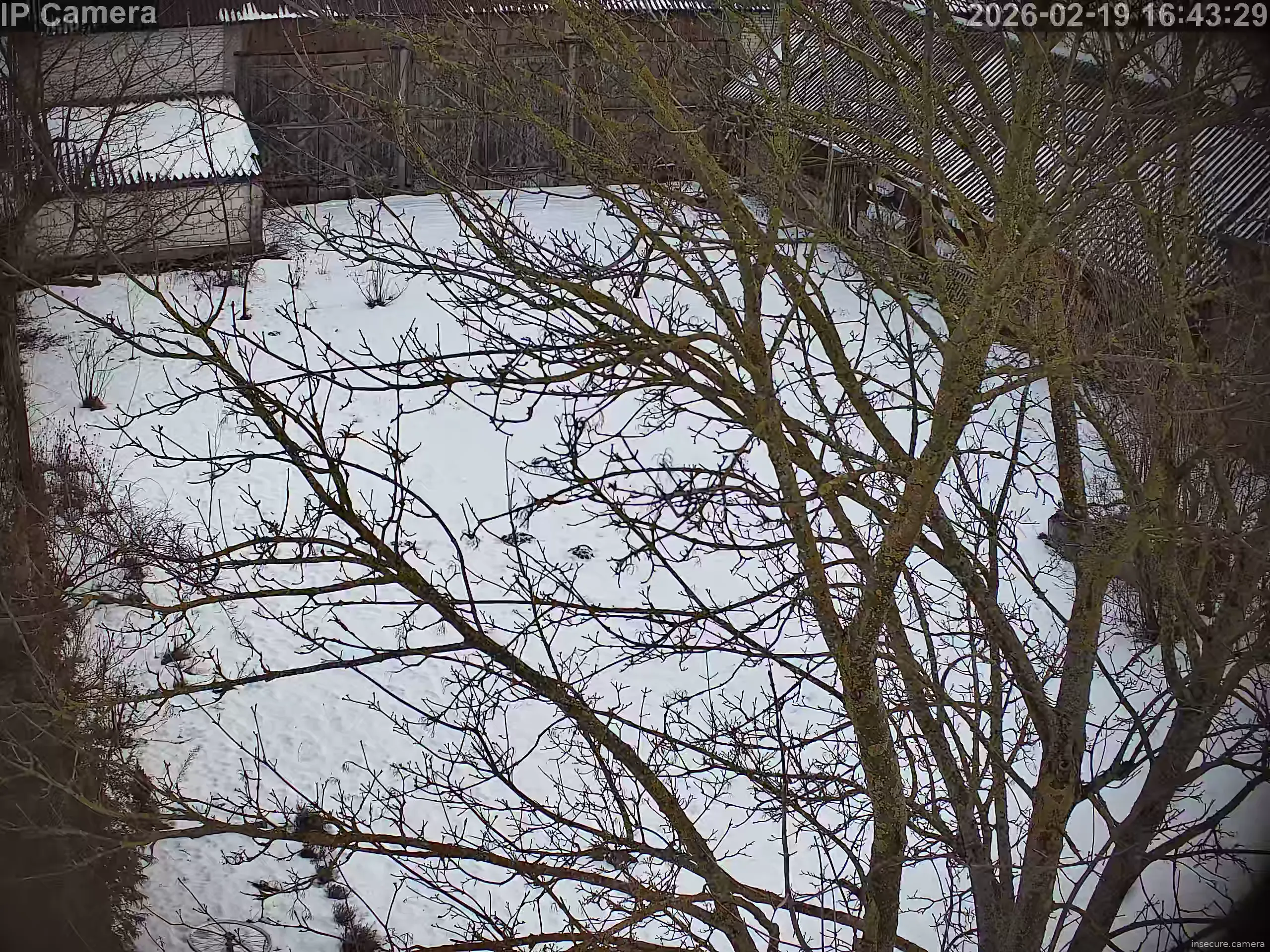 Capture from Feb 19, 2026 at 03:43 PM