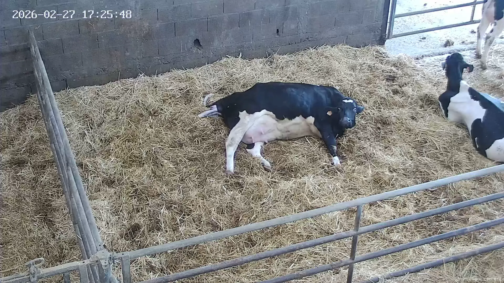 Capture from Feb 27, 2026 at 04:26 PM