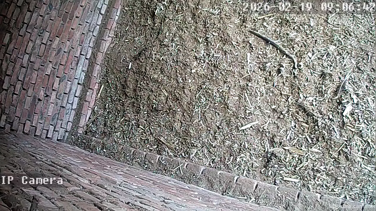 Capture from Feb 19, 2026 at 01:06 AM