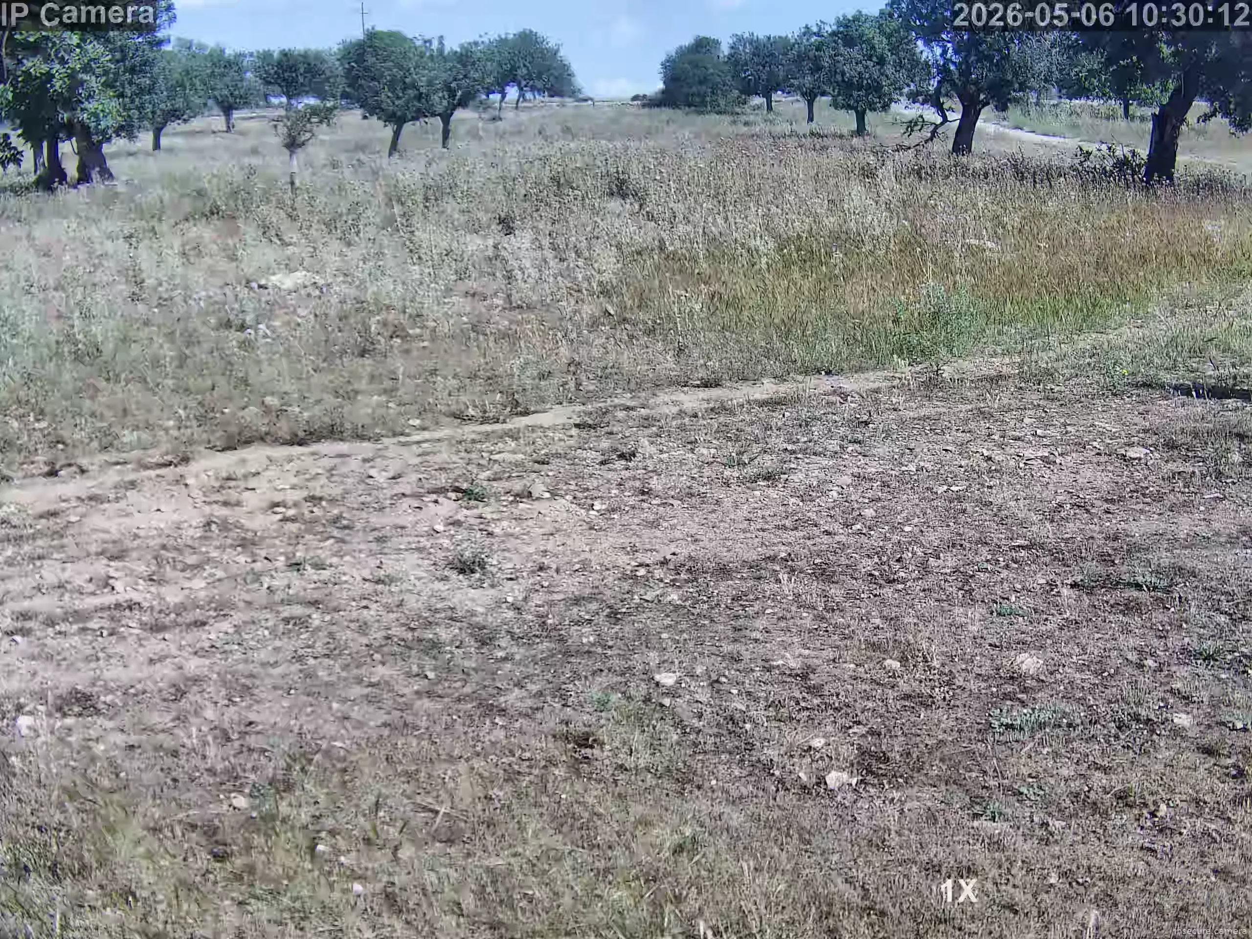 Camera in Spain