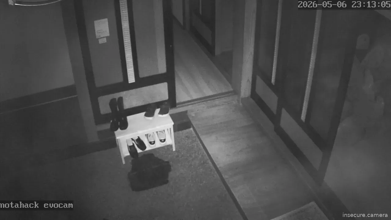 Camera in Japan