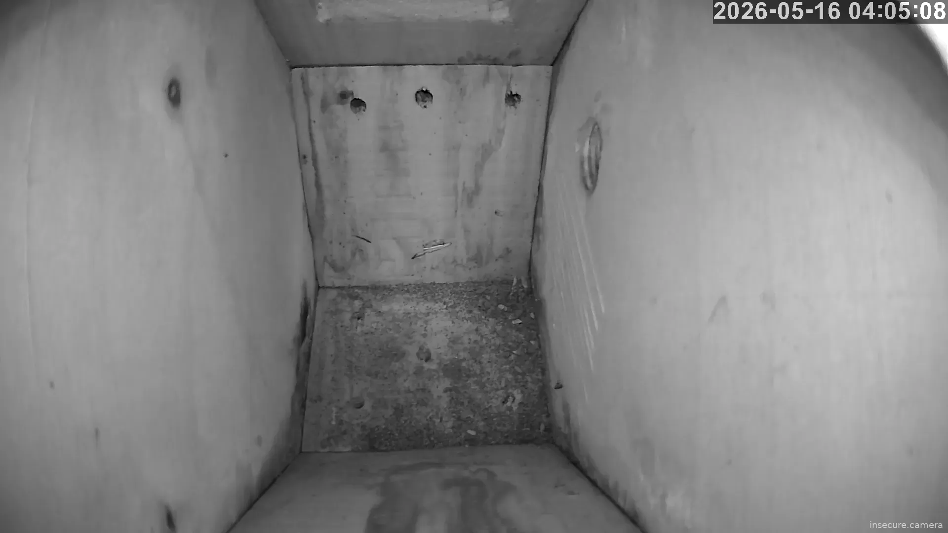 Camera in United Kingdom