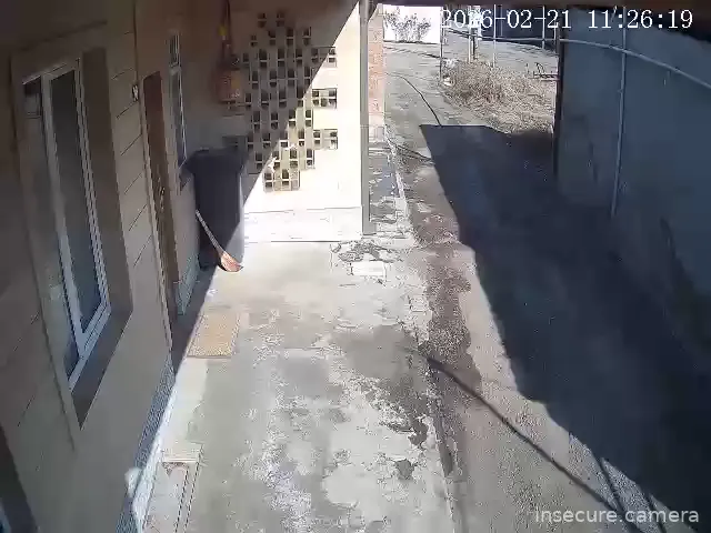 Capture from Feb 21, 2026 at 07:26 AM