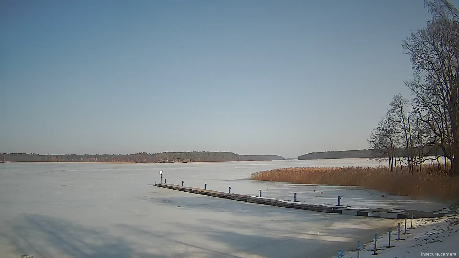 Capture from Mar 08, 2026 at 09:33 AM