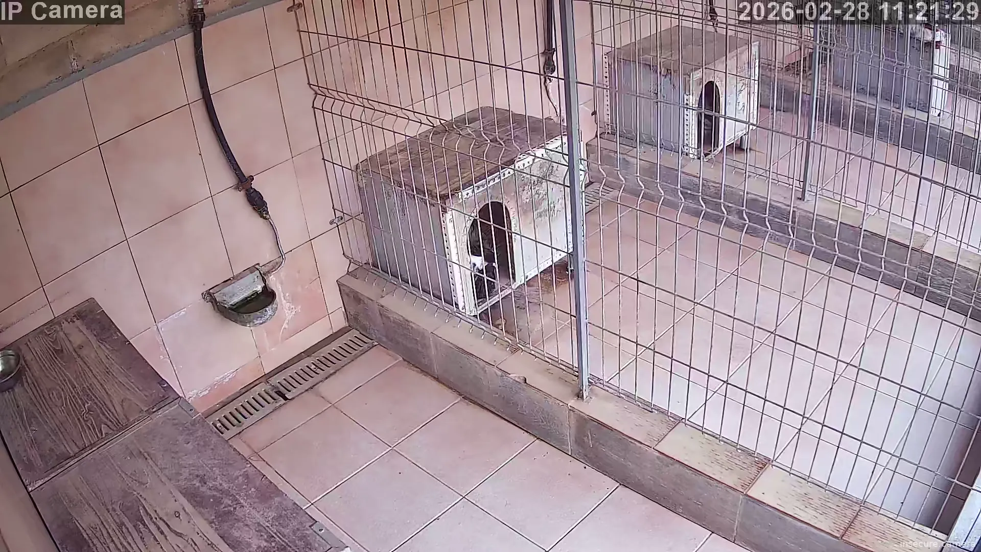 Capture from Feb 28, 2026 at 10:21 AM