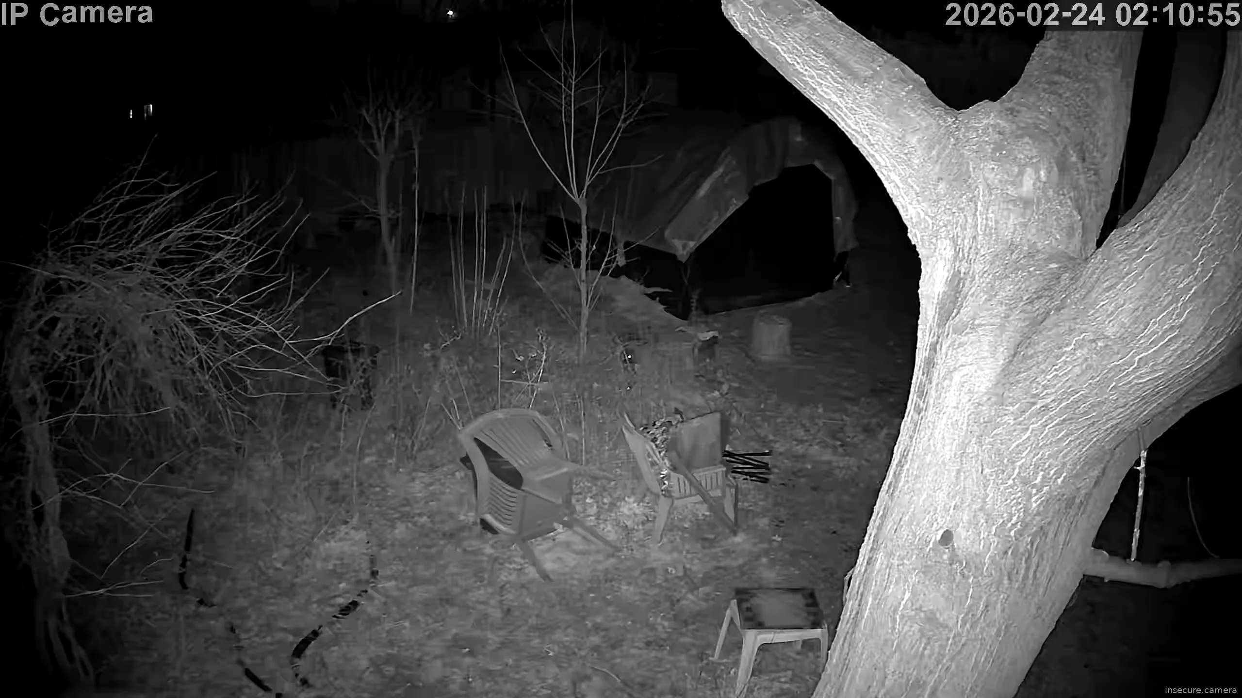 Capture from Feb 24, 2026 at 07:11 AM