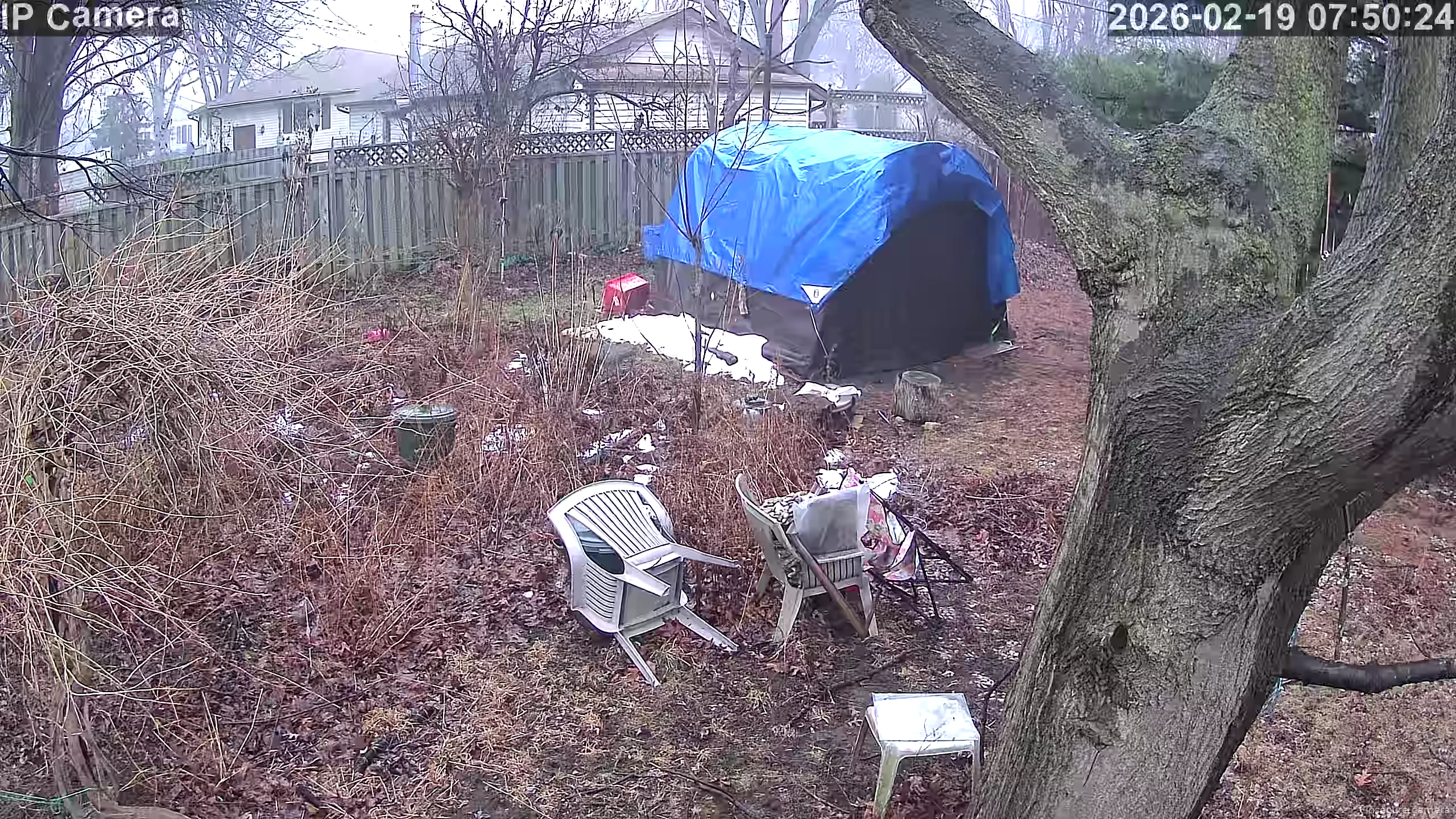 Capture from Feb 19, 2026 at 12:51 PM