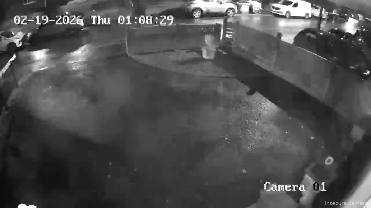 Capture from Feb 19, 2026 at 01:08 AM