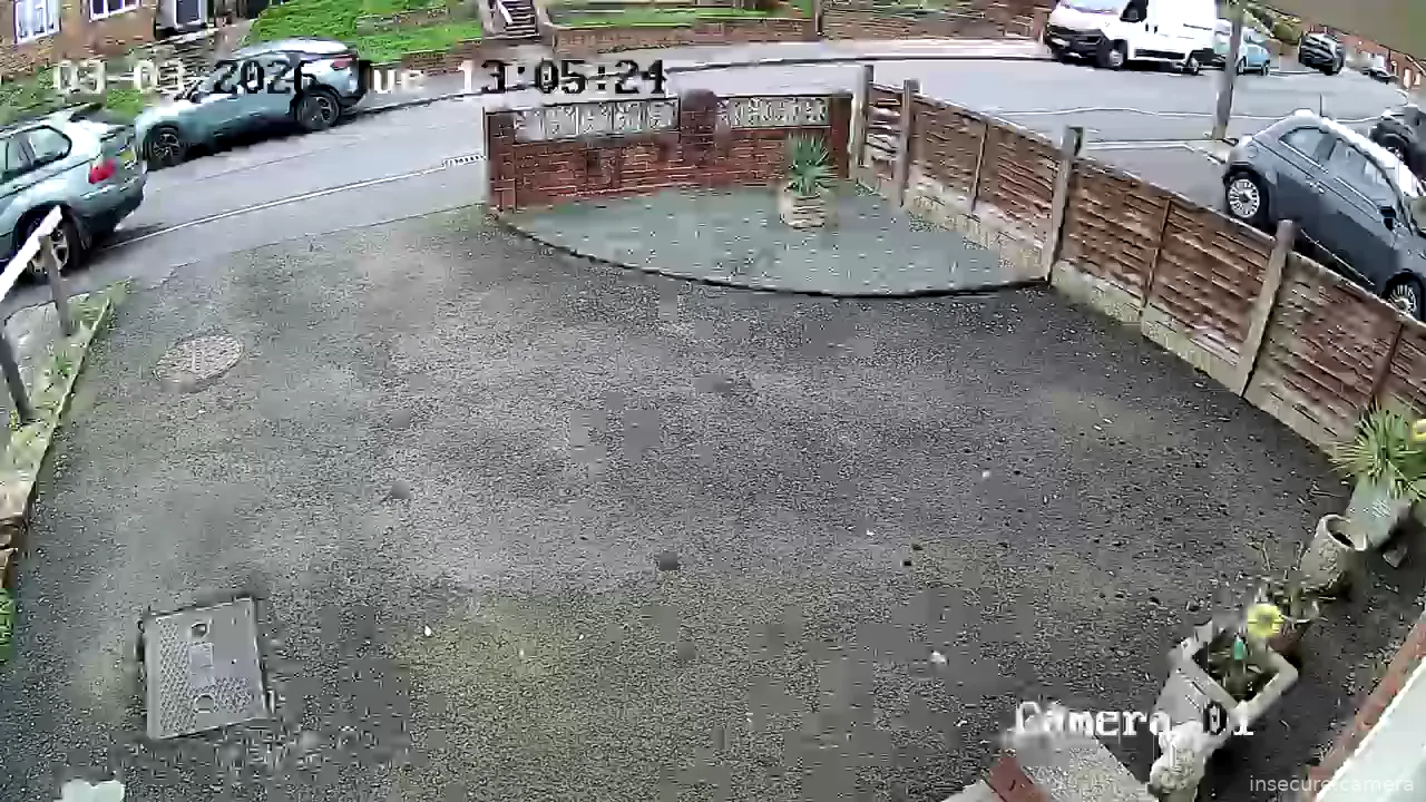 Capture from Mar 03, 2026 at 01:05 PM