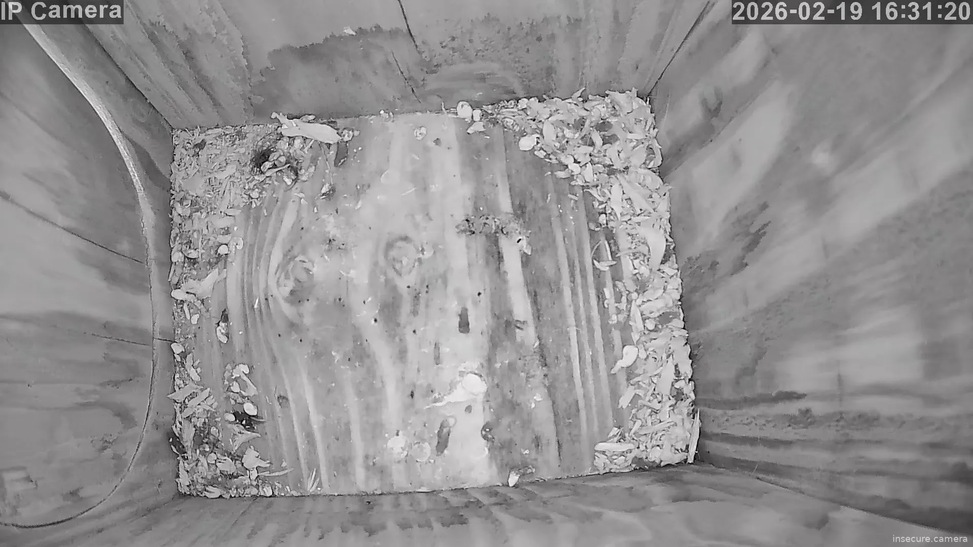 Capture from Feb 19, 2026 at 03:31 PM