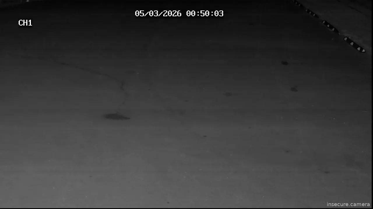 Camera in New Zealand