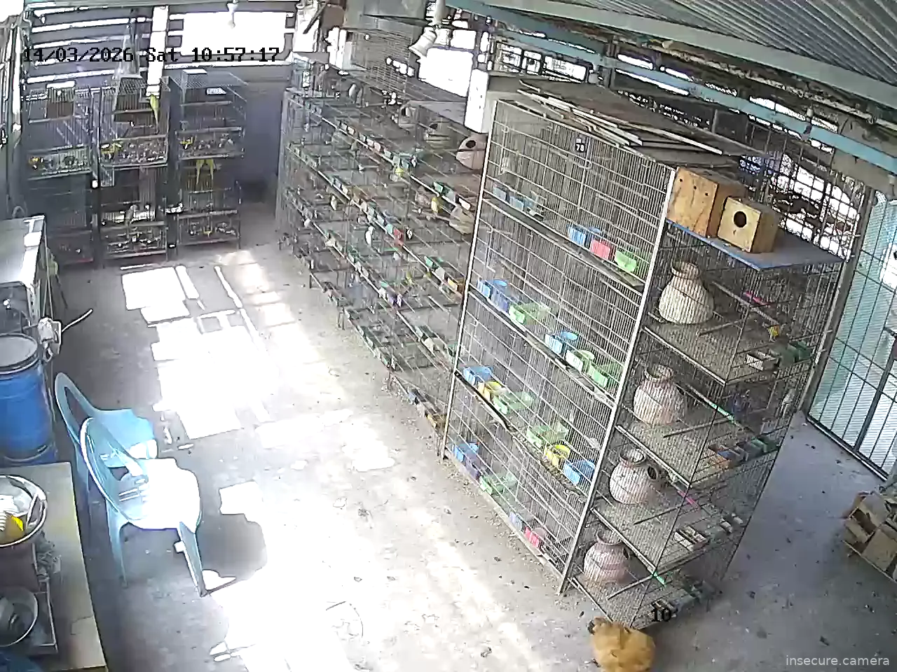 Capture from Mar 14, 2026 at 05:49 AM