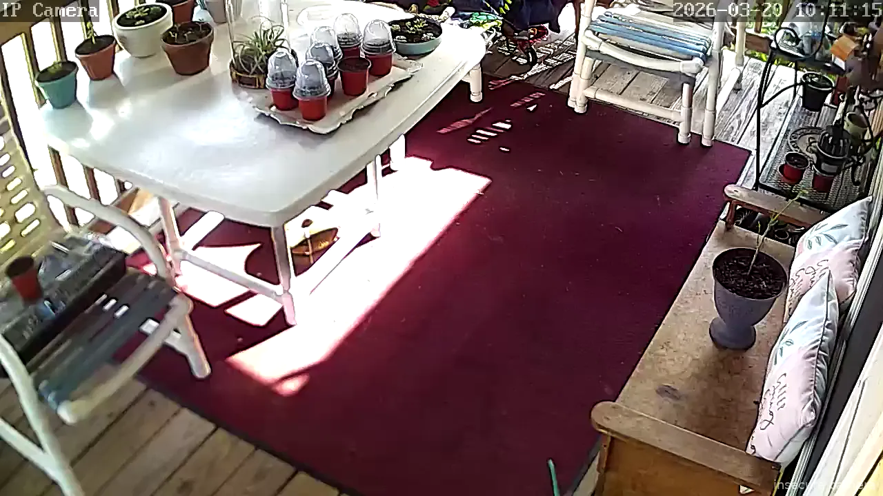 Camera in United States