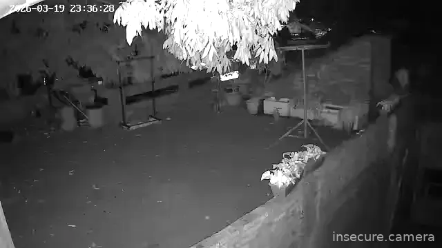 Capture from Mar 19, 2026 at 03:36 PM