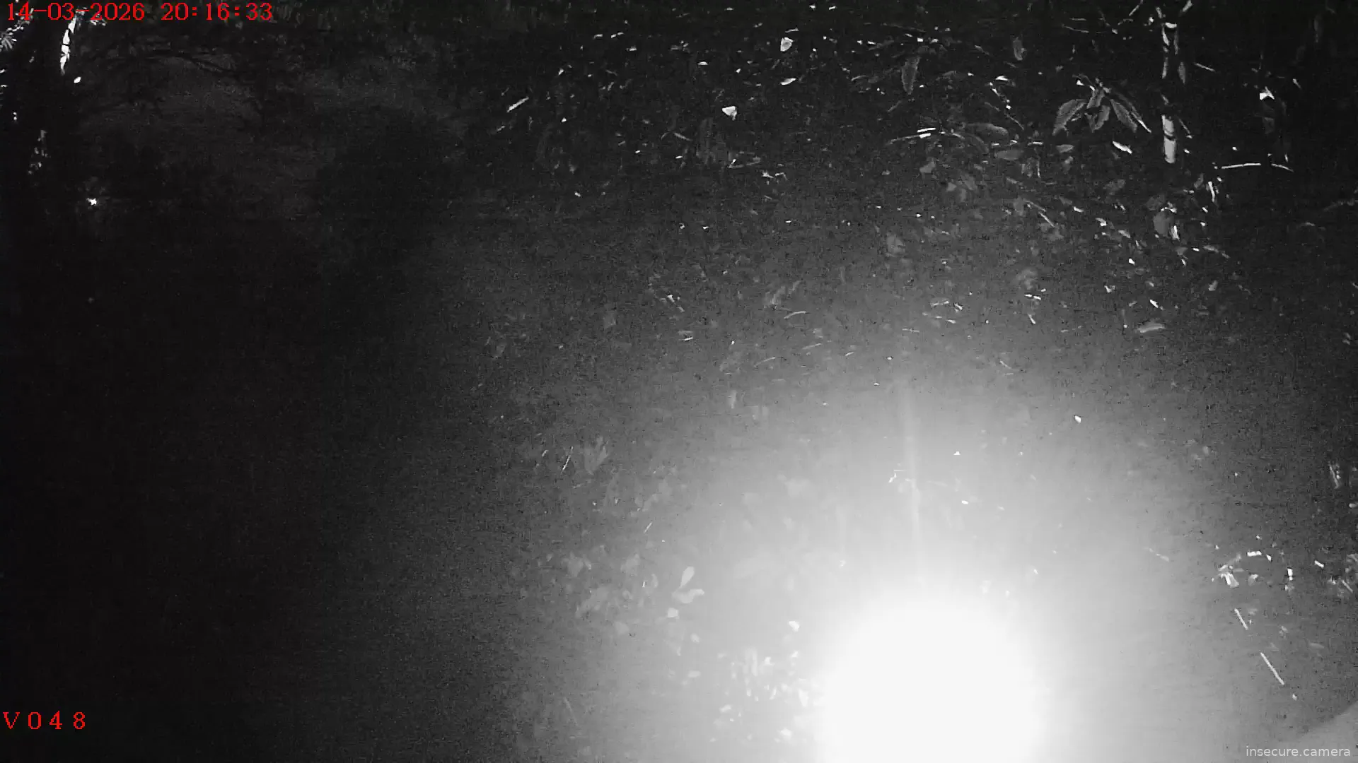 Capture from Mar 14, 2026 at 01:16 PM