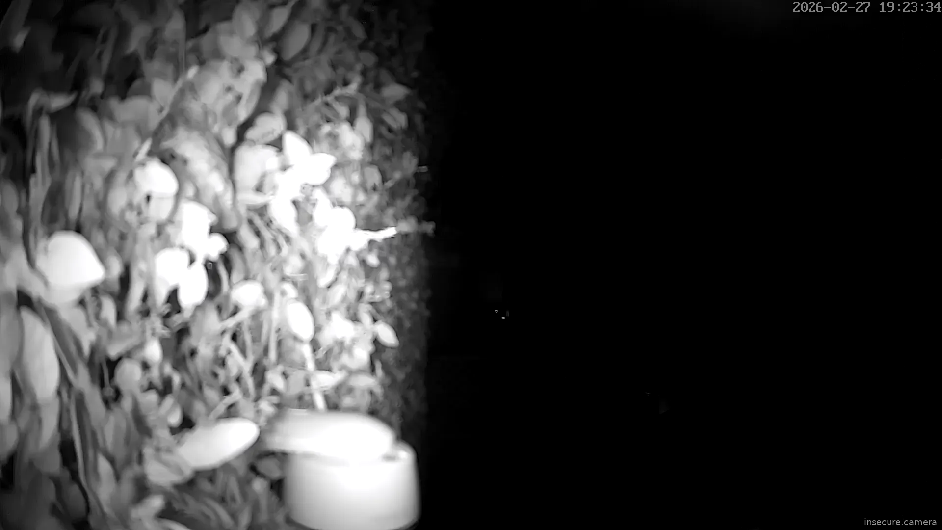 Capture from Feb 27, 2026 at 07:23 PM