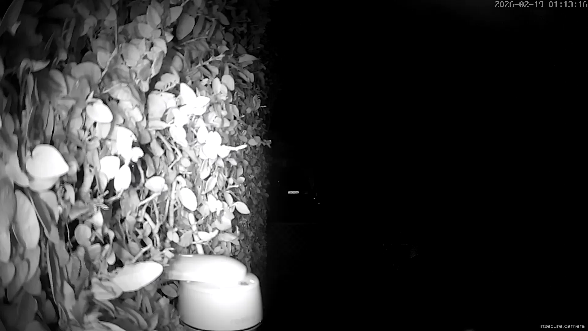 Capture from Feb 19, 2026 at 01:13 AM