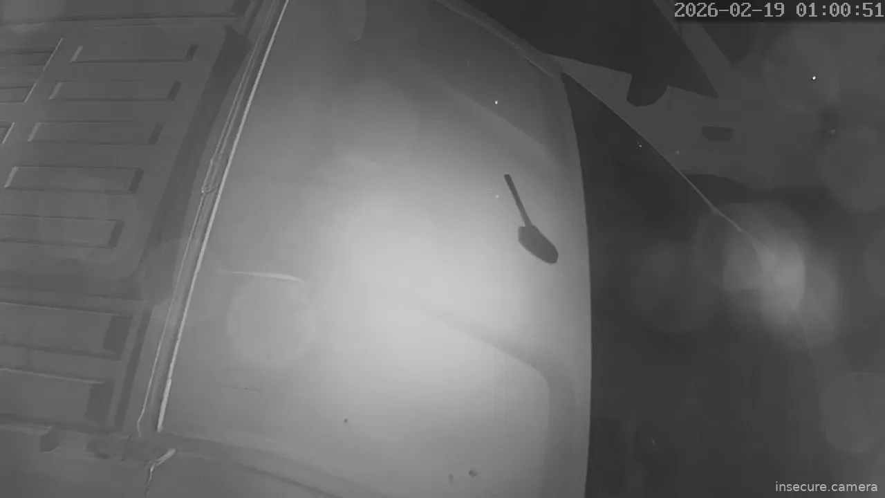 Capture from Feb 19, 2026 at 12:31 AM