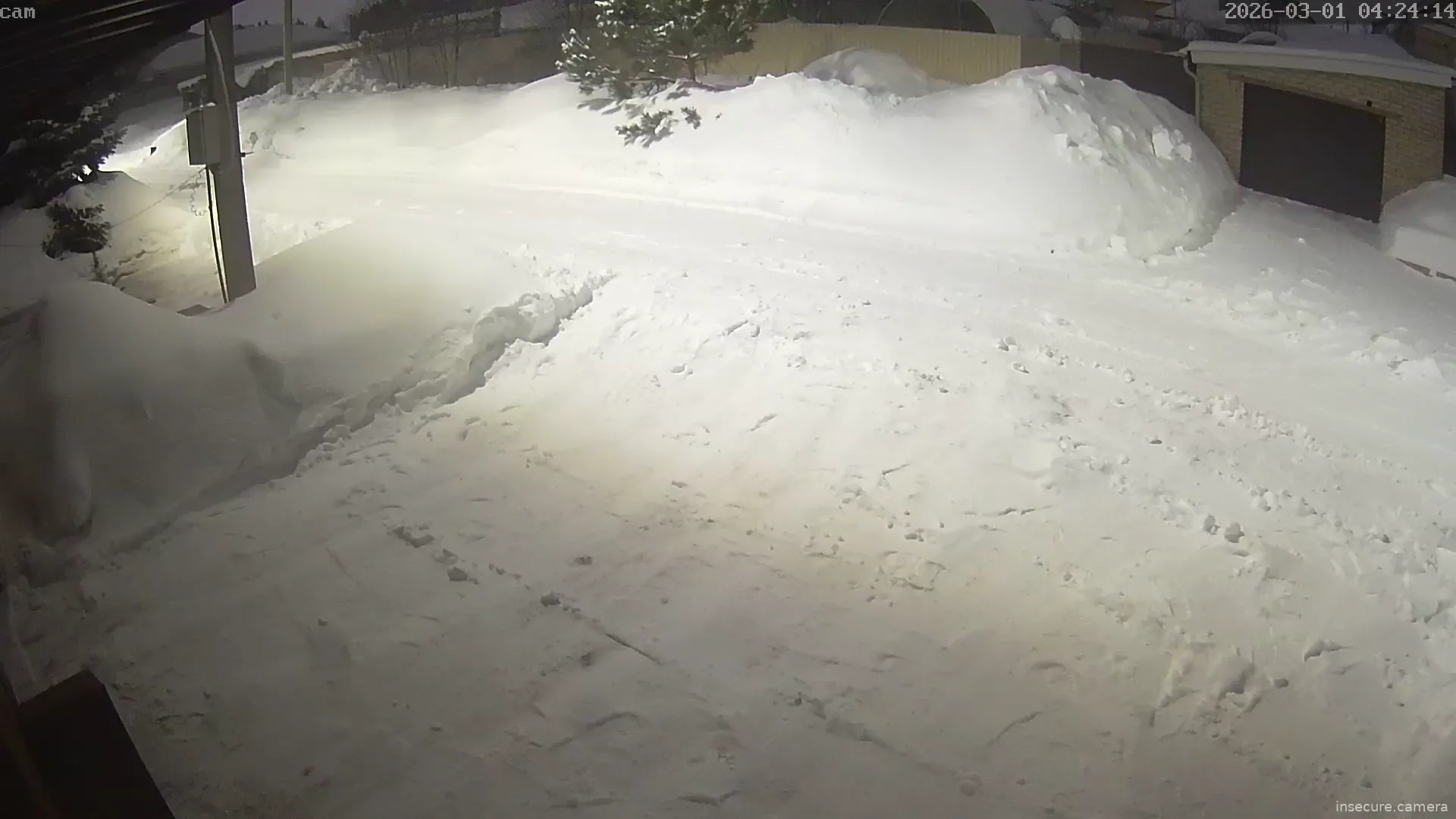 Capture from Mar 01, 2026 at 01:24 AM