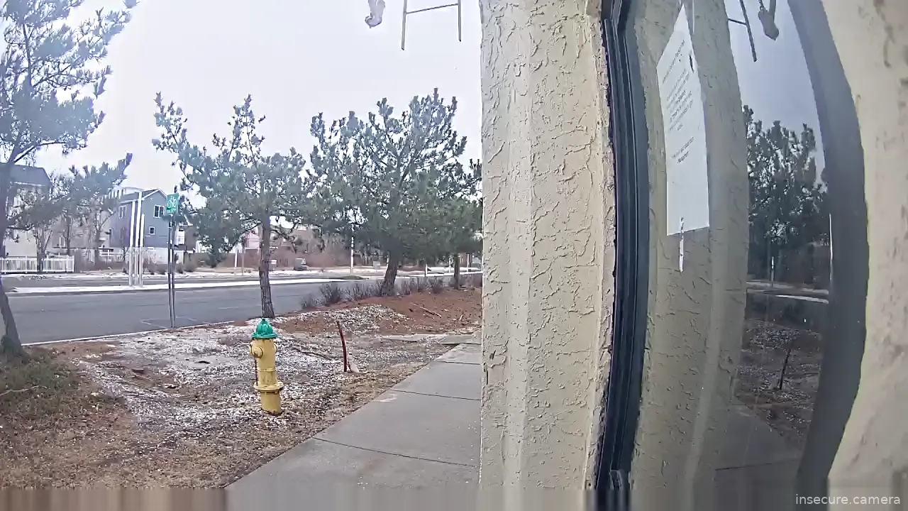 Capture from Feb 19, 2026 at 08:13 PM