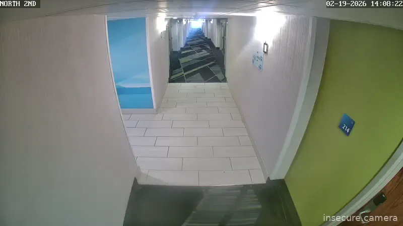 Capture from Feb 19, 2026 at 07:08 PM