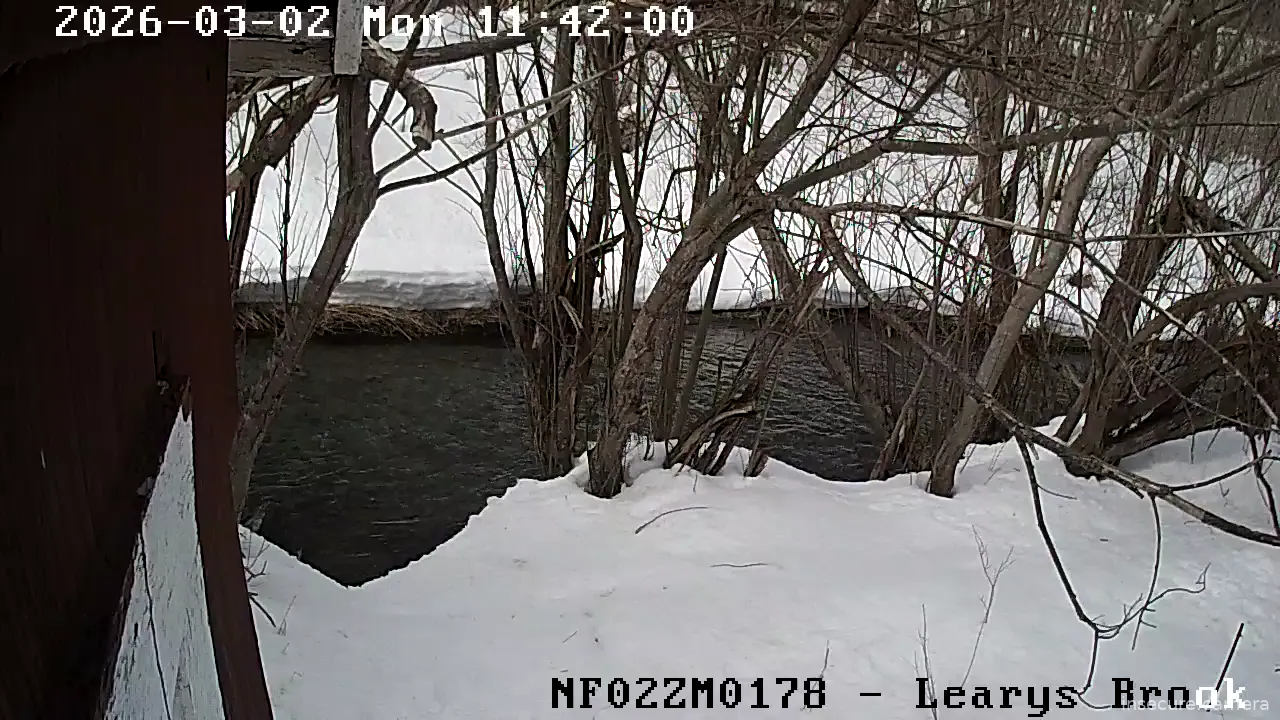 Capture from Mar 02, 2026 at 04:10 PM