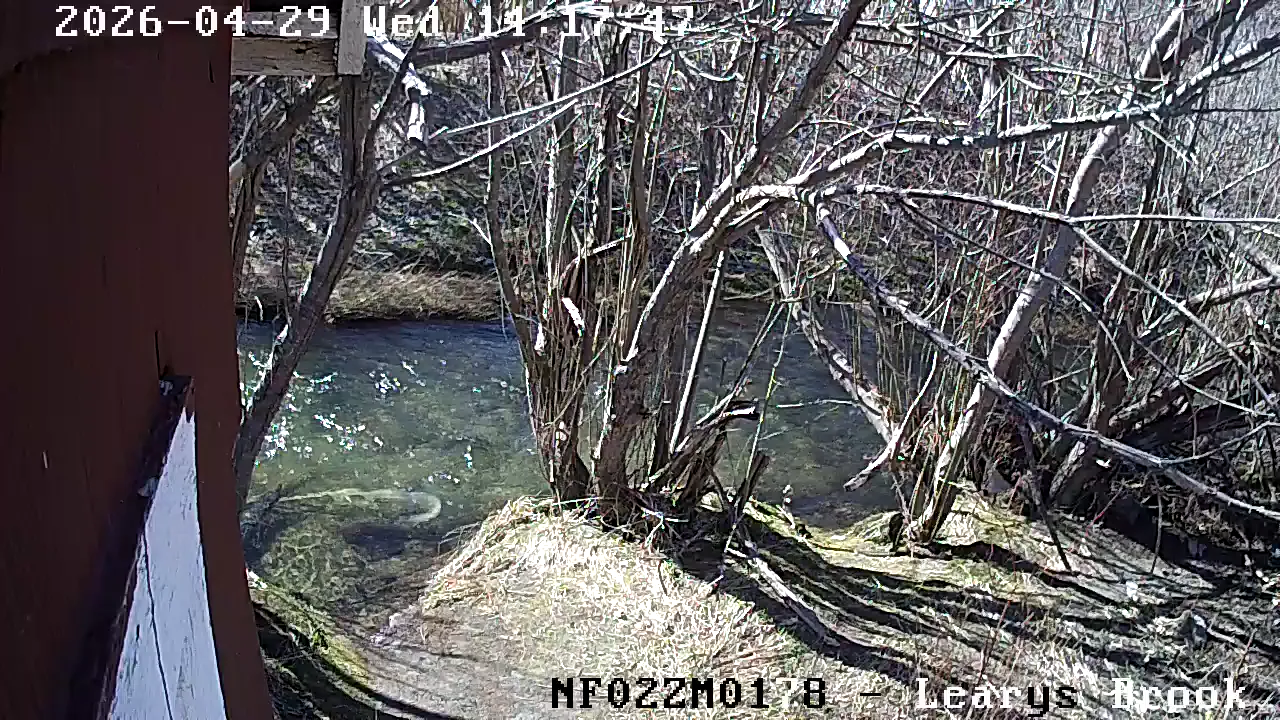 Capture from Apr 29, 2026 at 06:44 PM