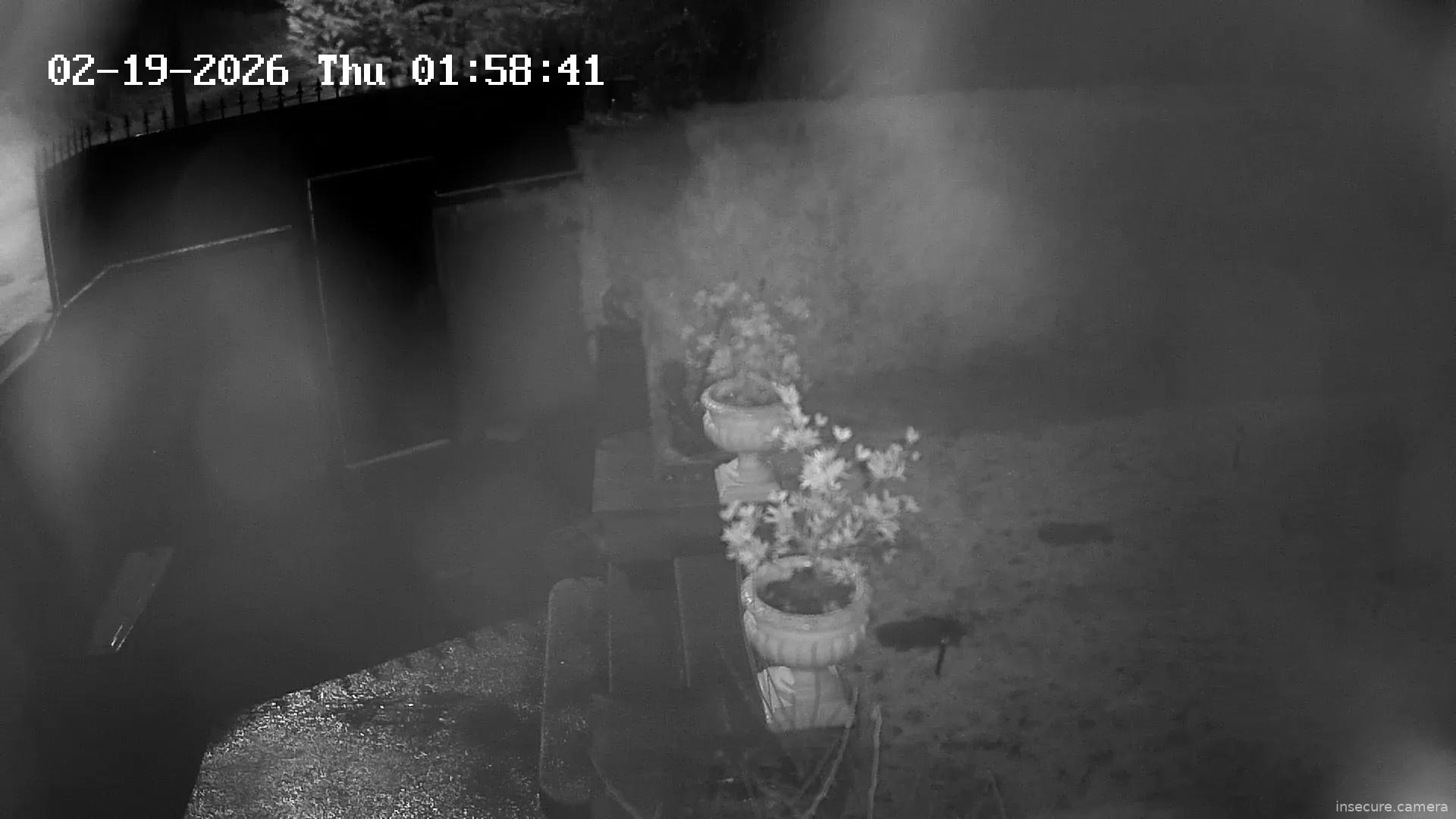 Capture from Feb 19, 2026 at 12:59 AM