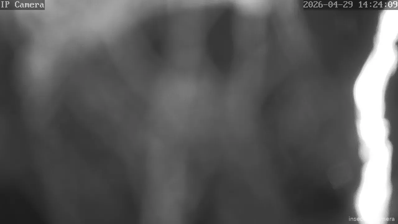 Capture from Apr 29, 2026 at 02:24 PM
