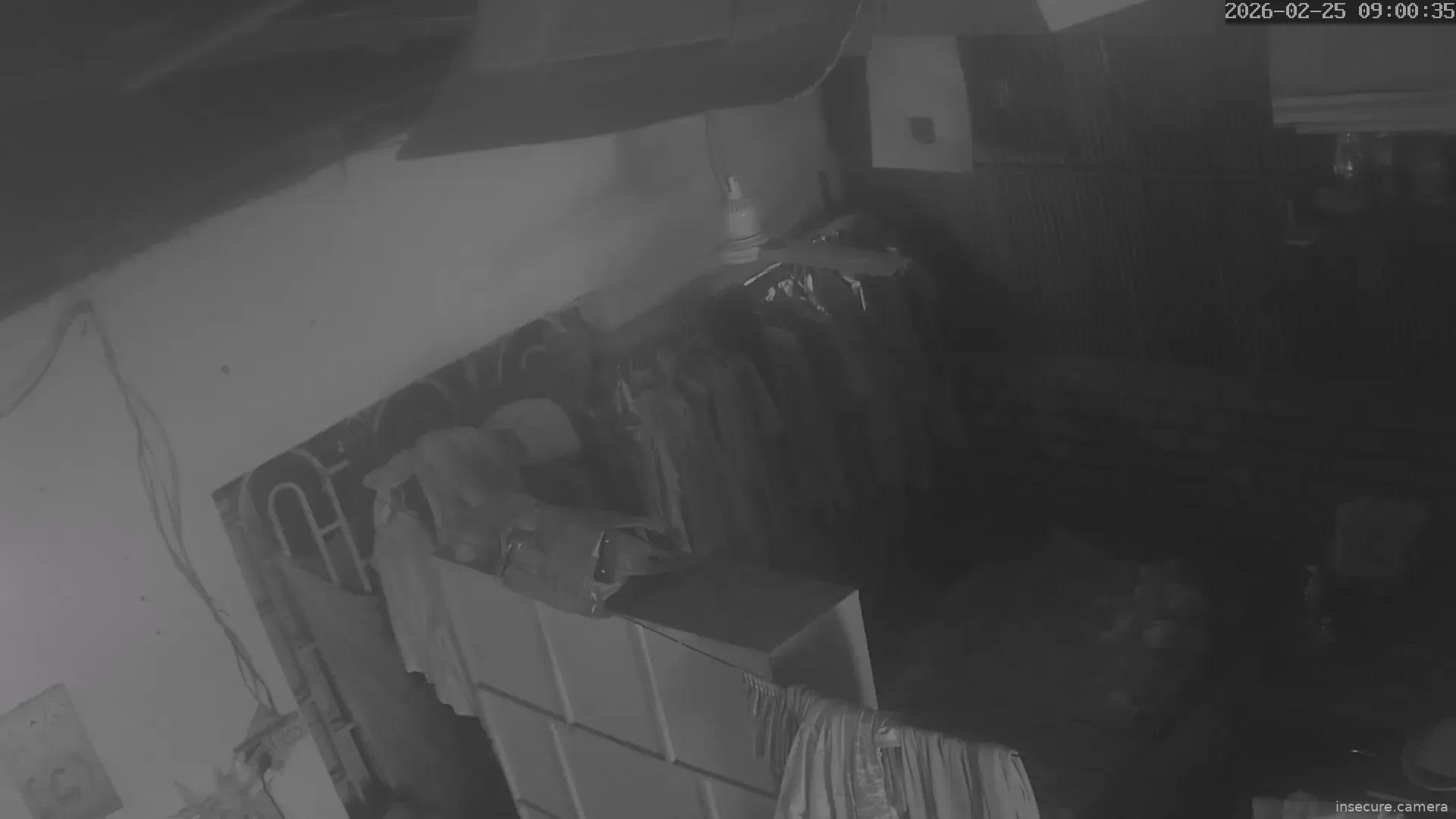 Capture from Feb 25, 2026 at 02:00 AM