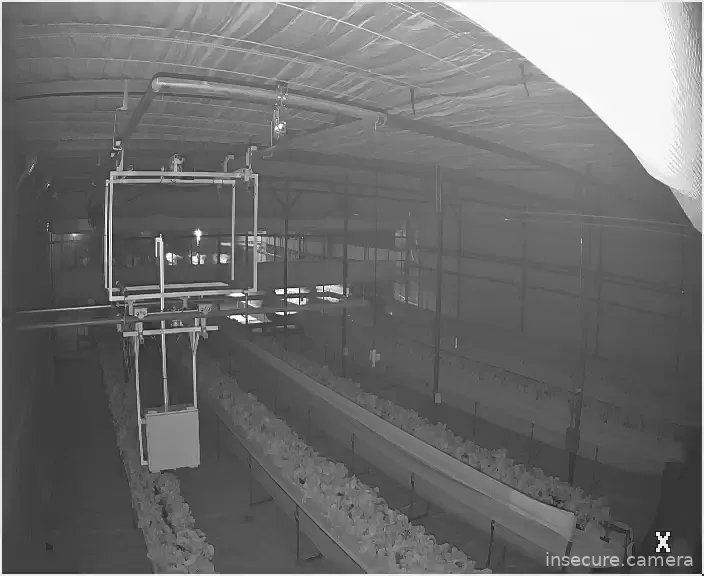 Capture from Mar 04, 2026 at 11:37 AM