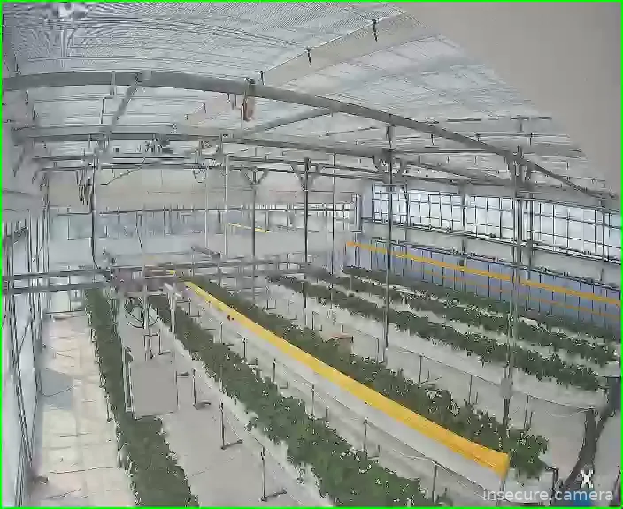 Camera in South Korea