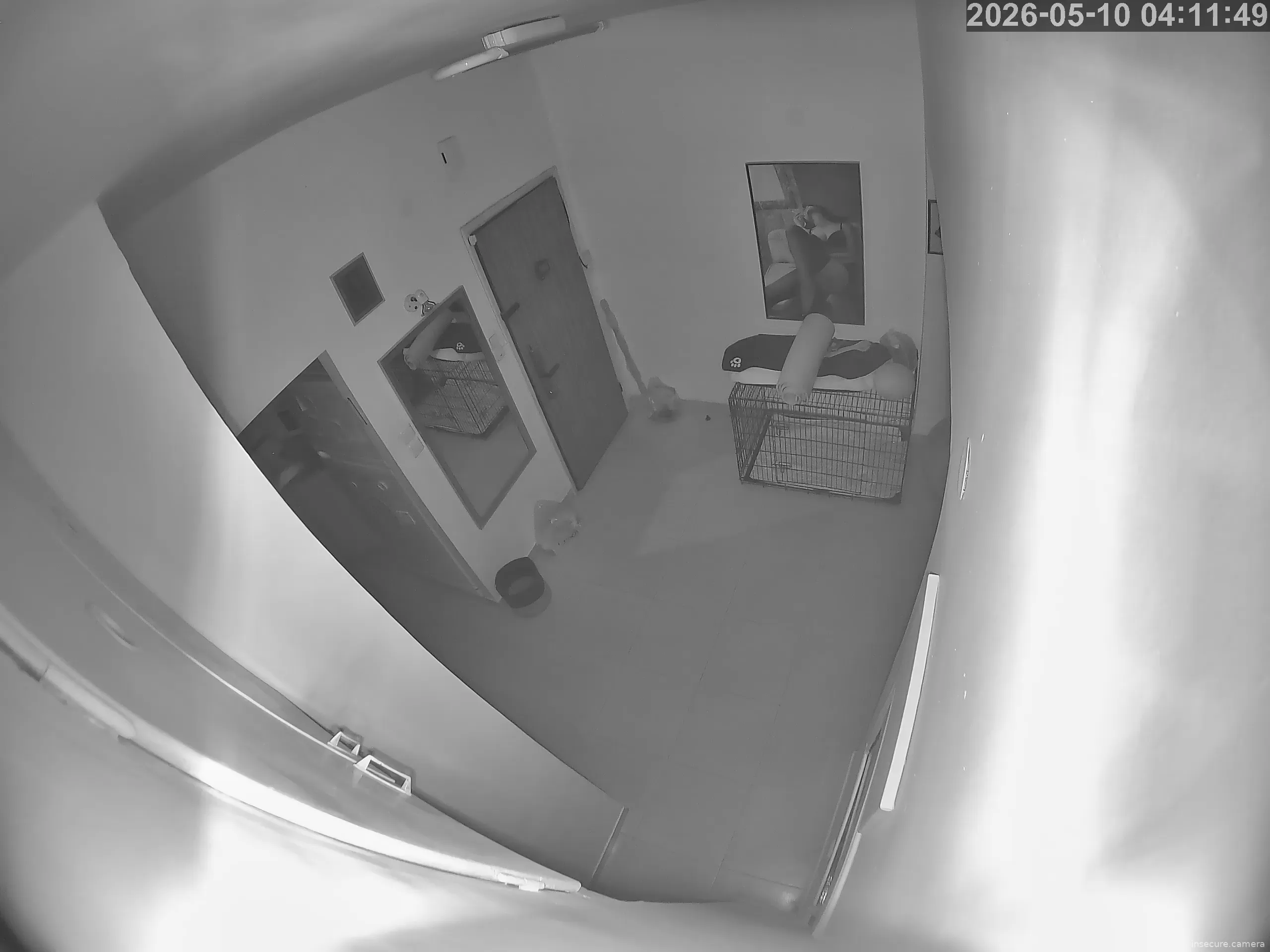 Camera in Israel