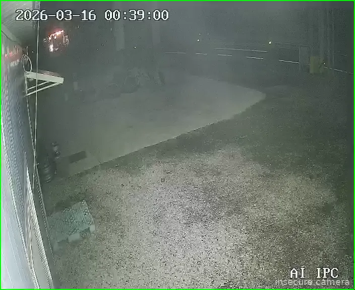 Camera in South Korea