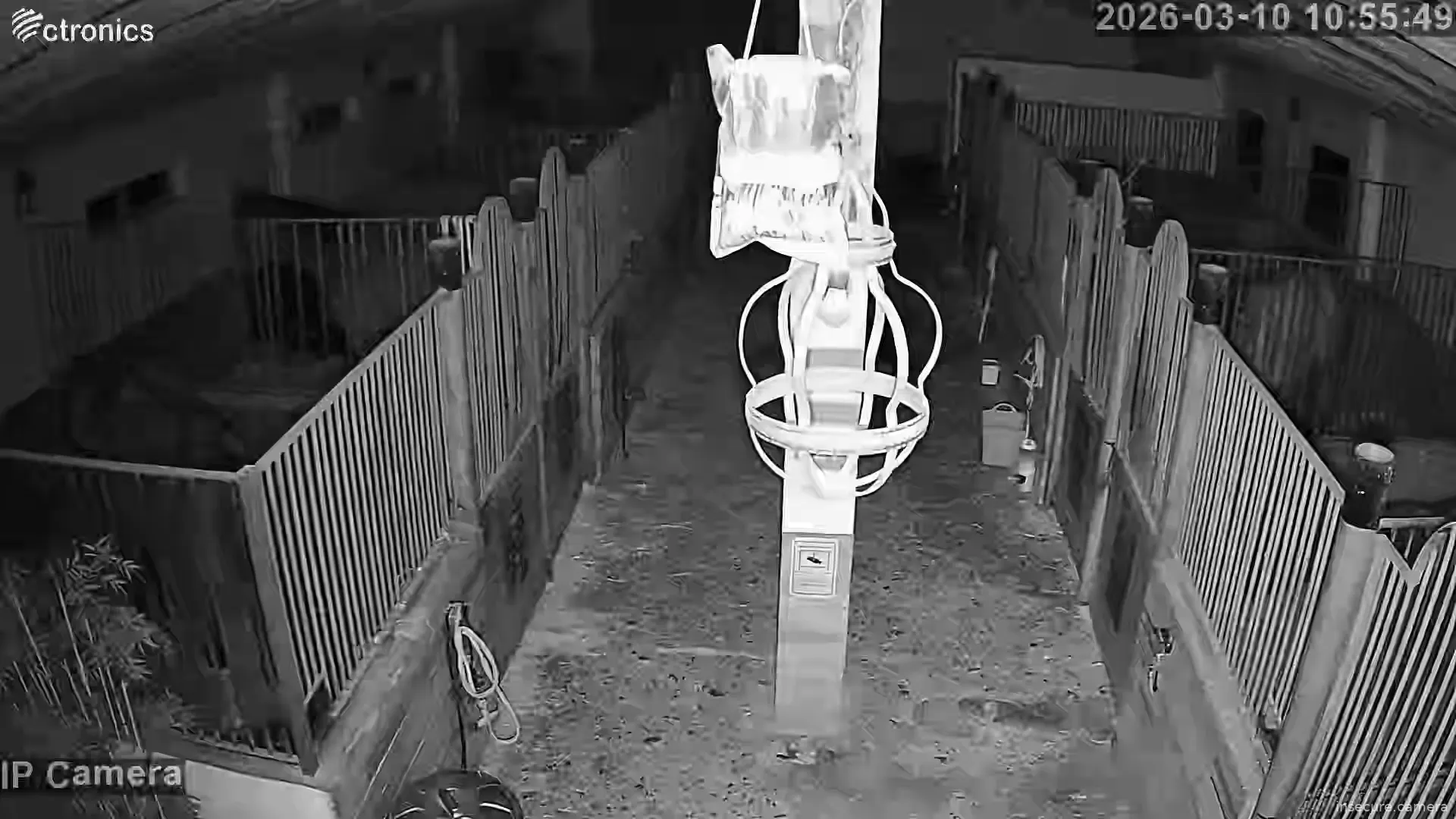 Capture from Mar 10, 2026 at 02:56 AM