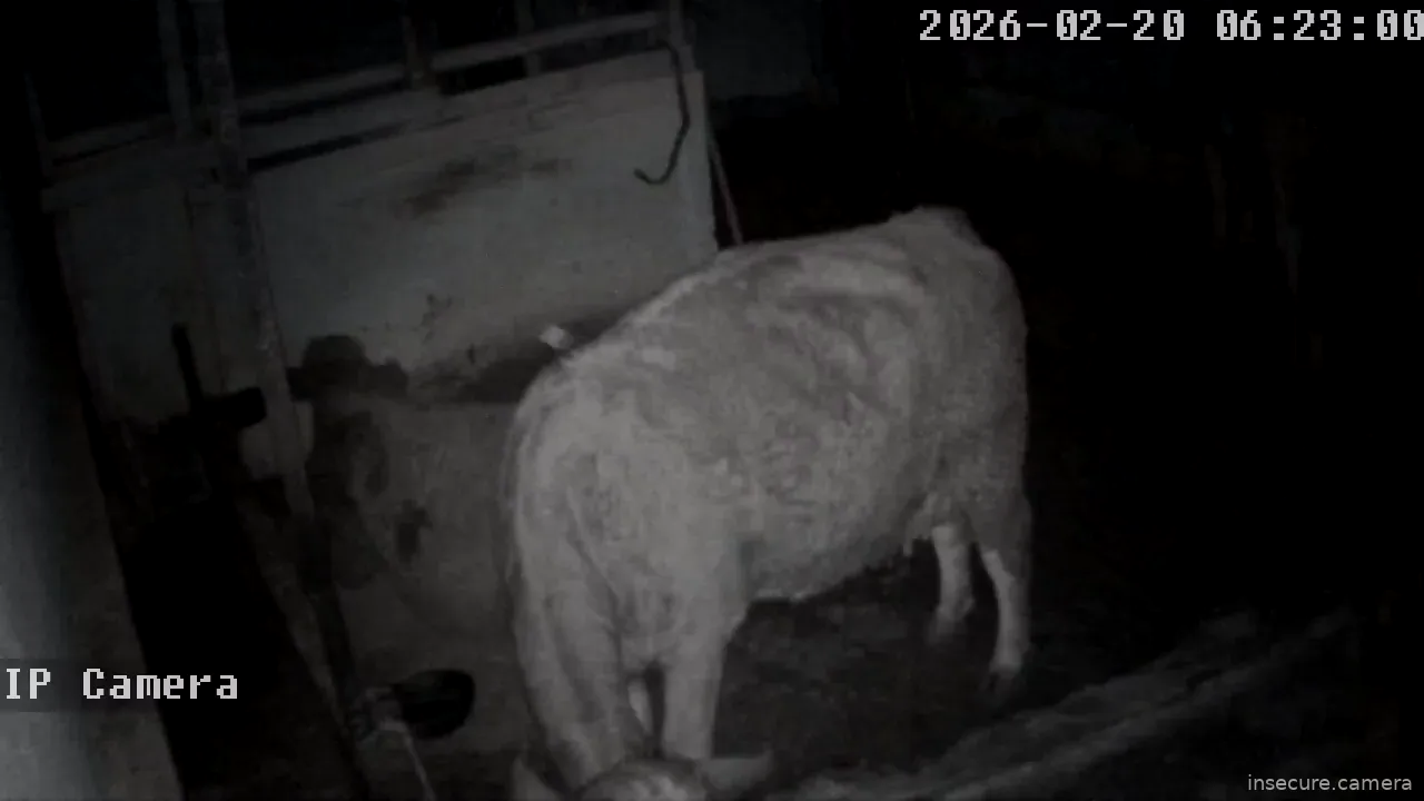 Capture from Feb 19, 2026 at 10:23 PM