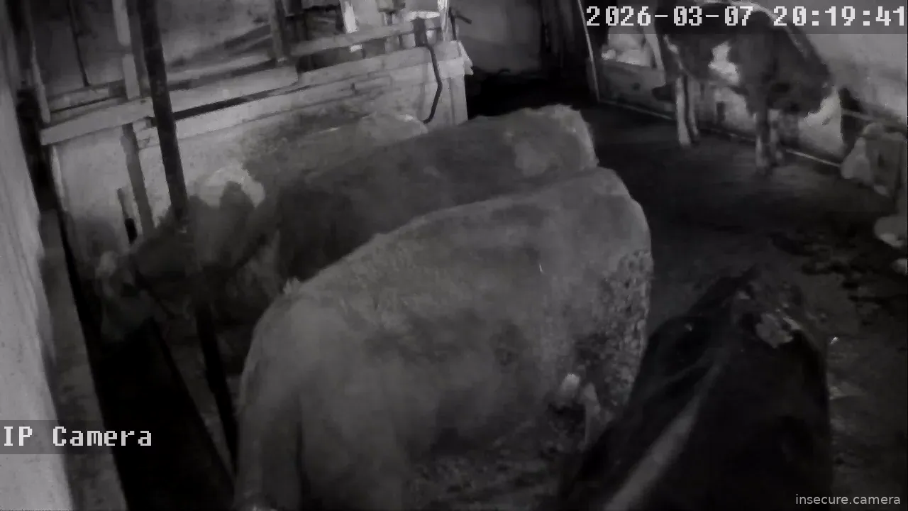 Capture from Mar 07, 2026 at 12:19 PM