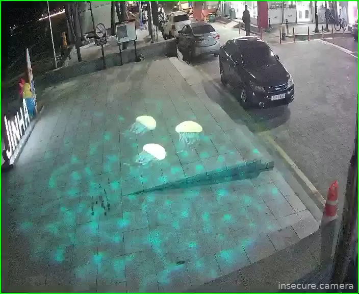 Camera in South Korea