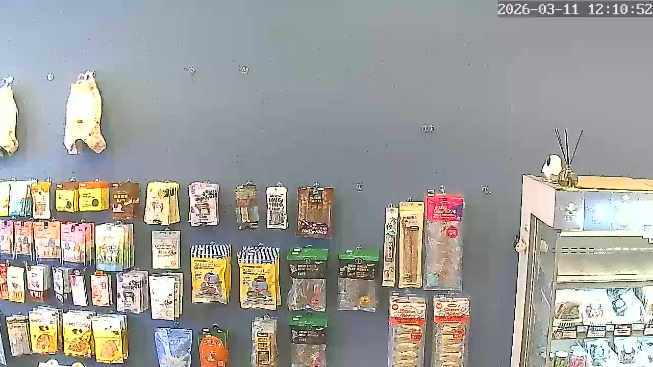 Camera in South Korea