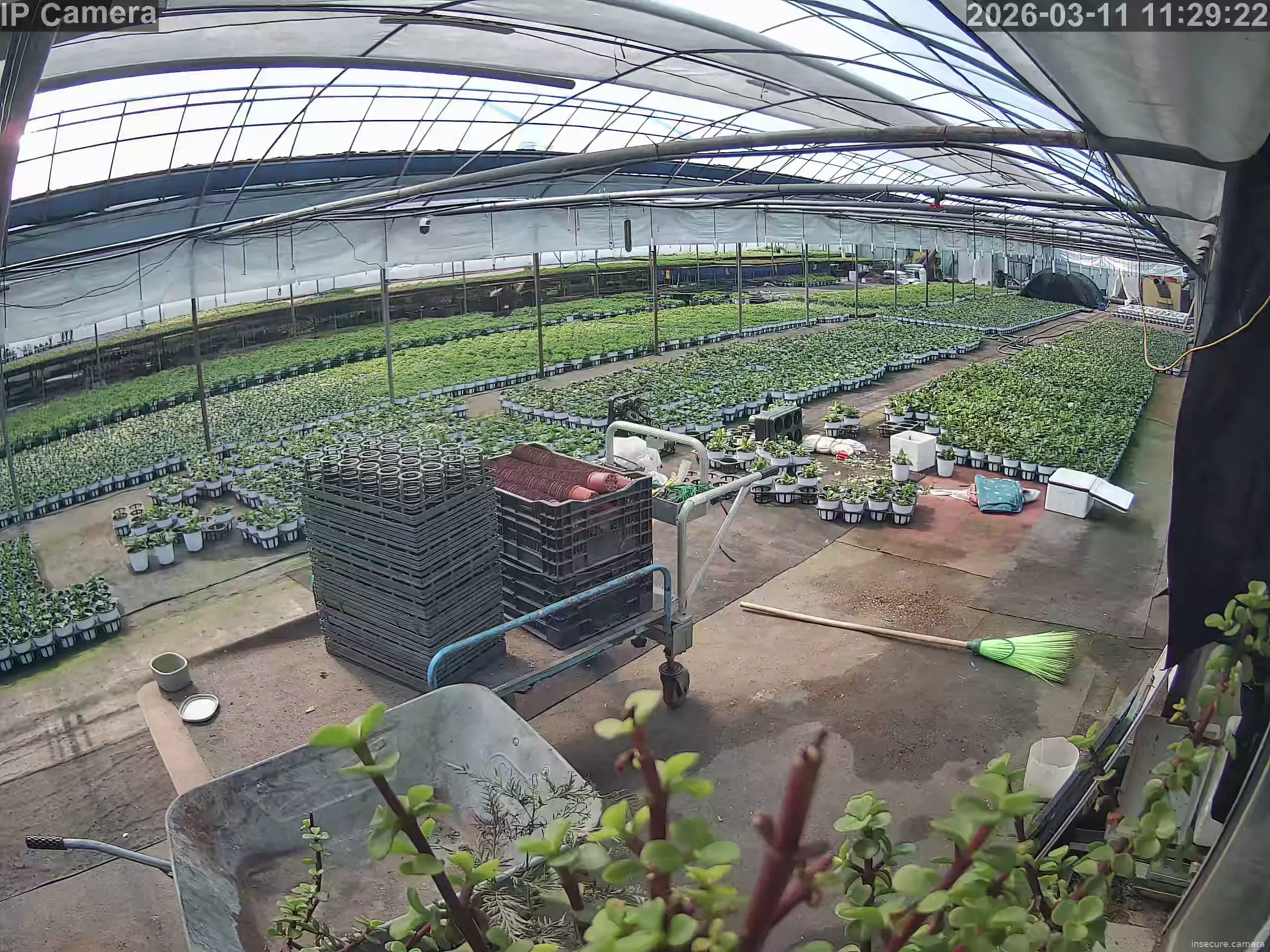 Capture from Mar 11, 2026 at 02:29 AM