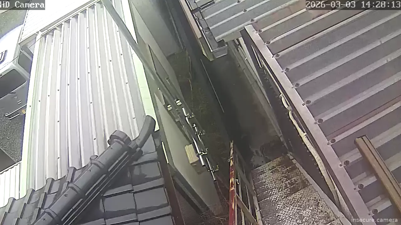 Capture from Mar 03, 2026 at 05:28 AM