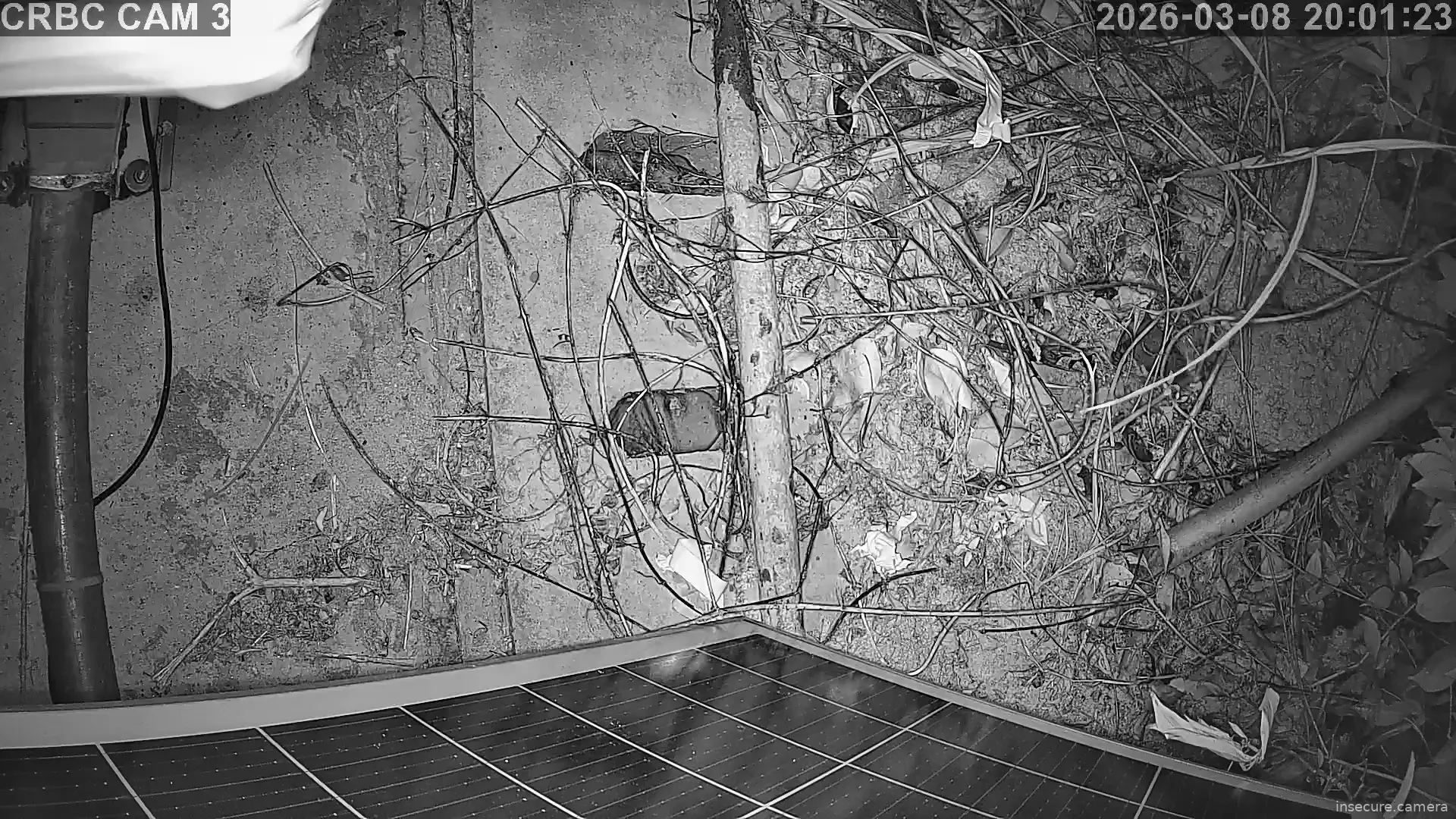 Capture from Mar 08, 2026 at 12:01 PM