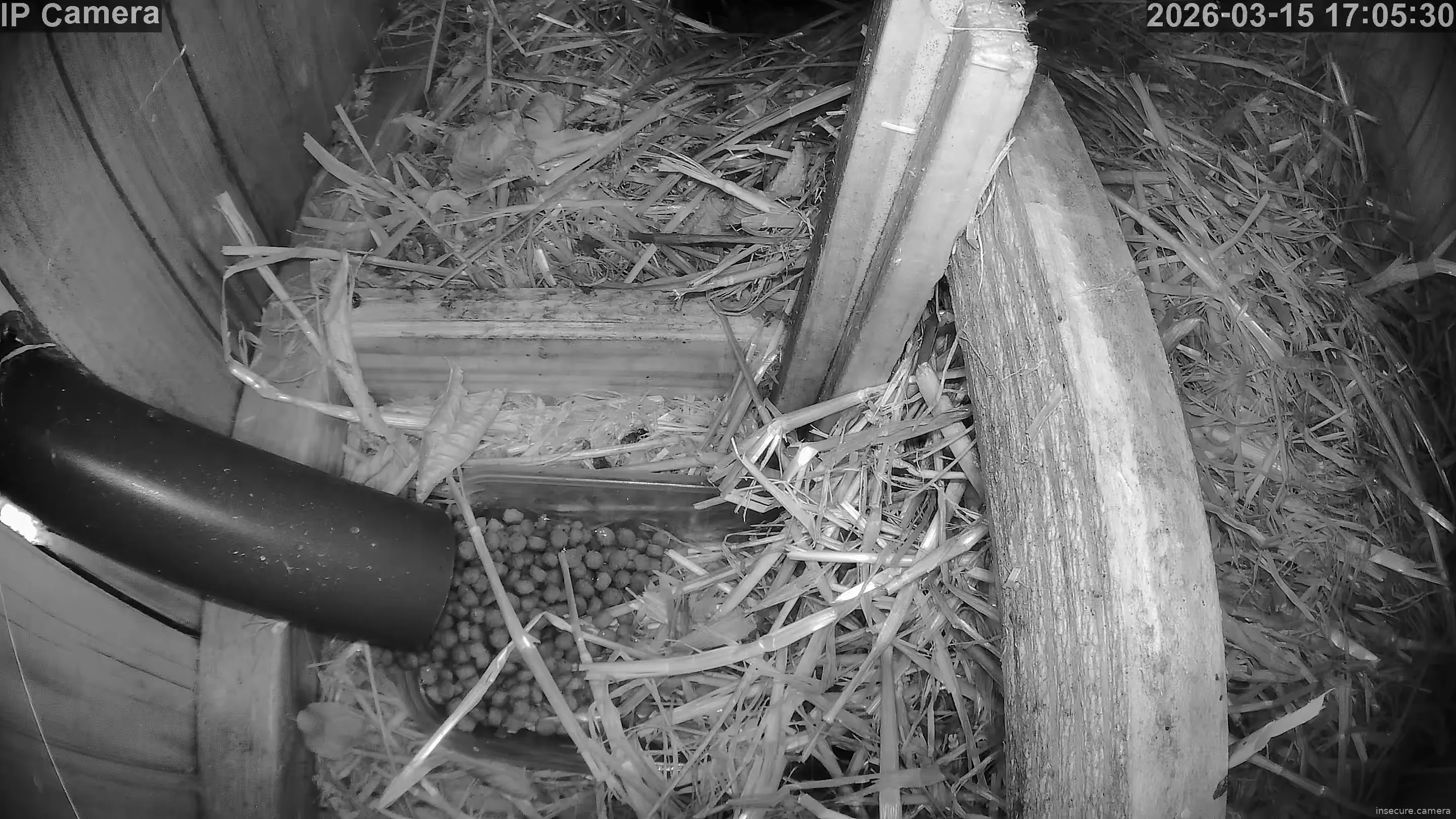 Capture from Mar 15, 2026 at 04:06 PM