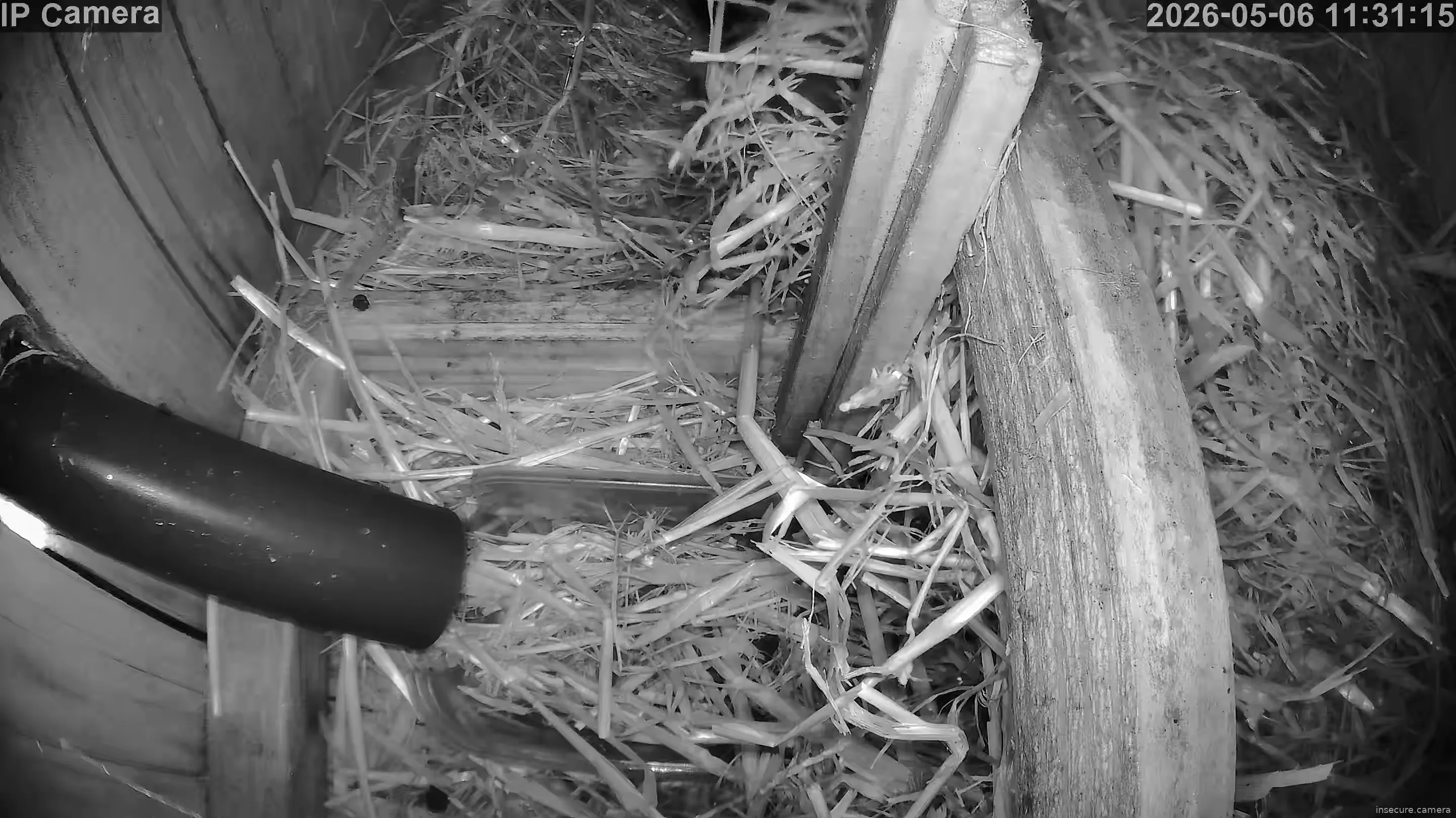 Capture from May 06, 2026 at 09:32 AM