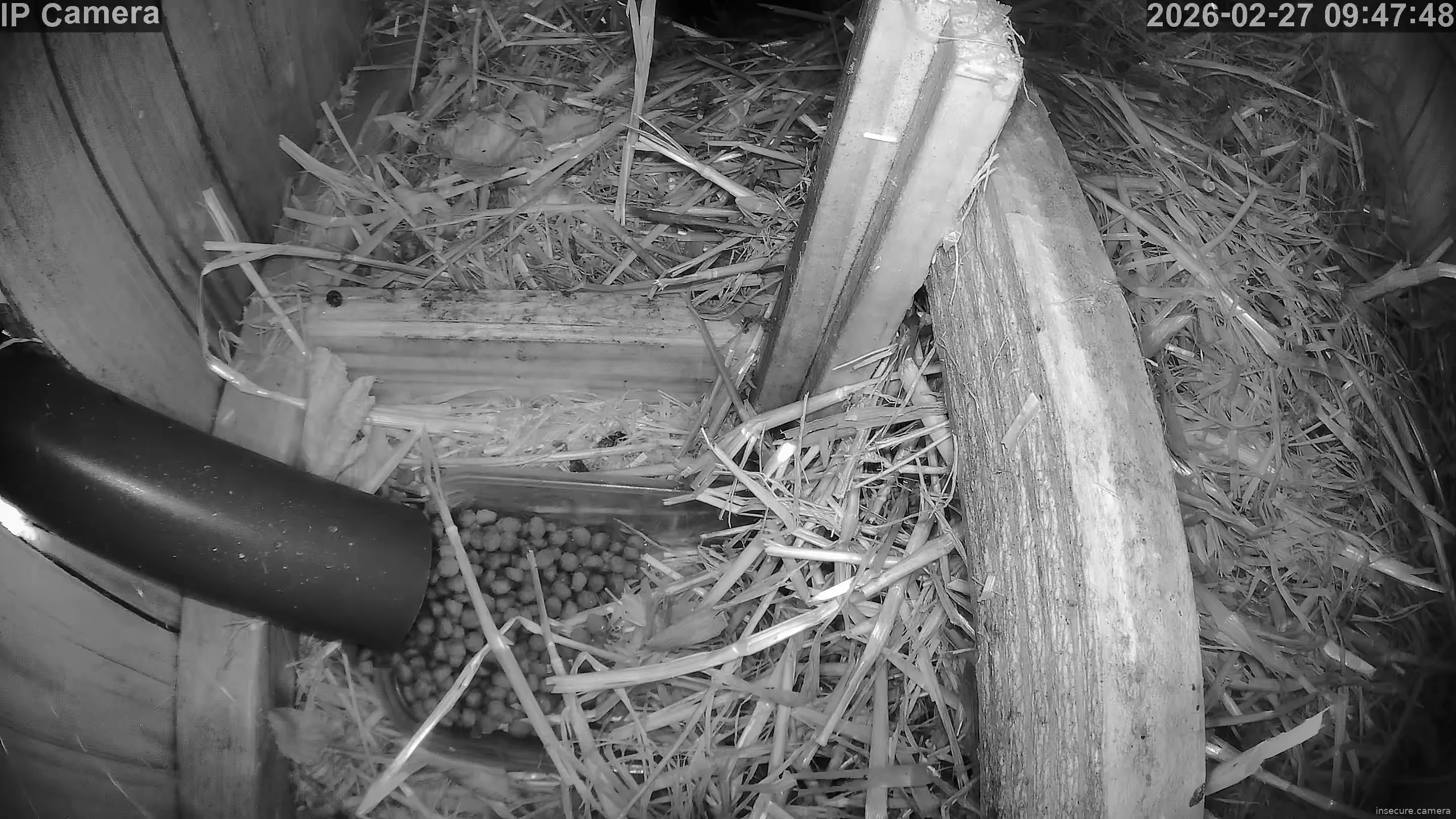 Capture from Feb 27, 2026 at 08:48 AM