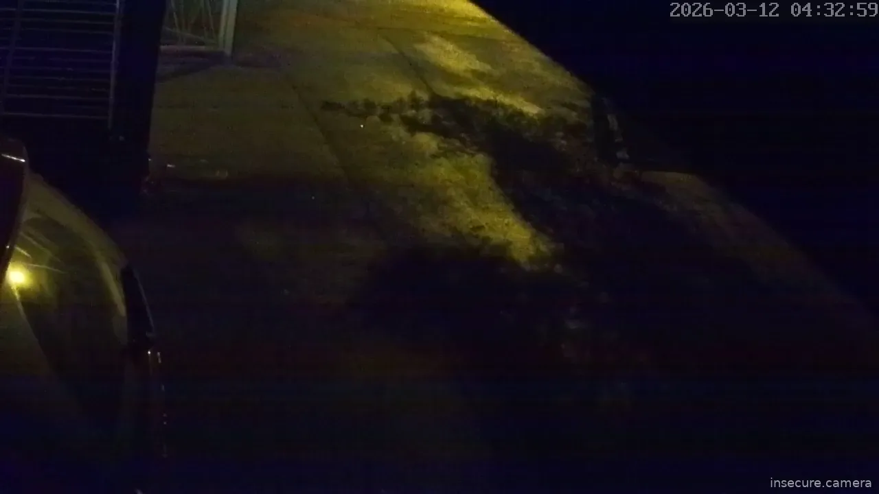 Capture from Mar 12, 2026 at 02:33 AM