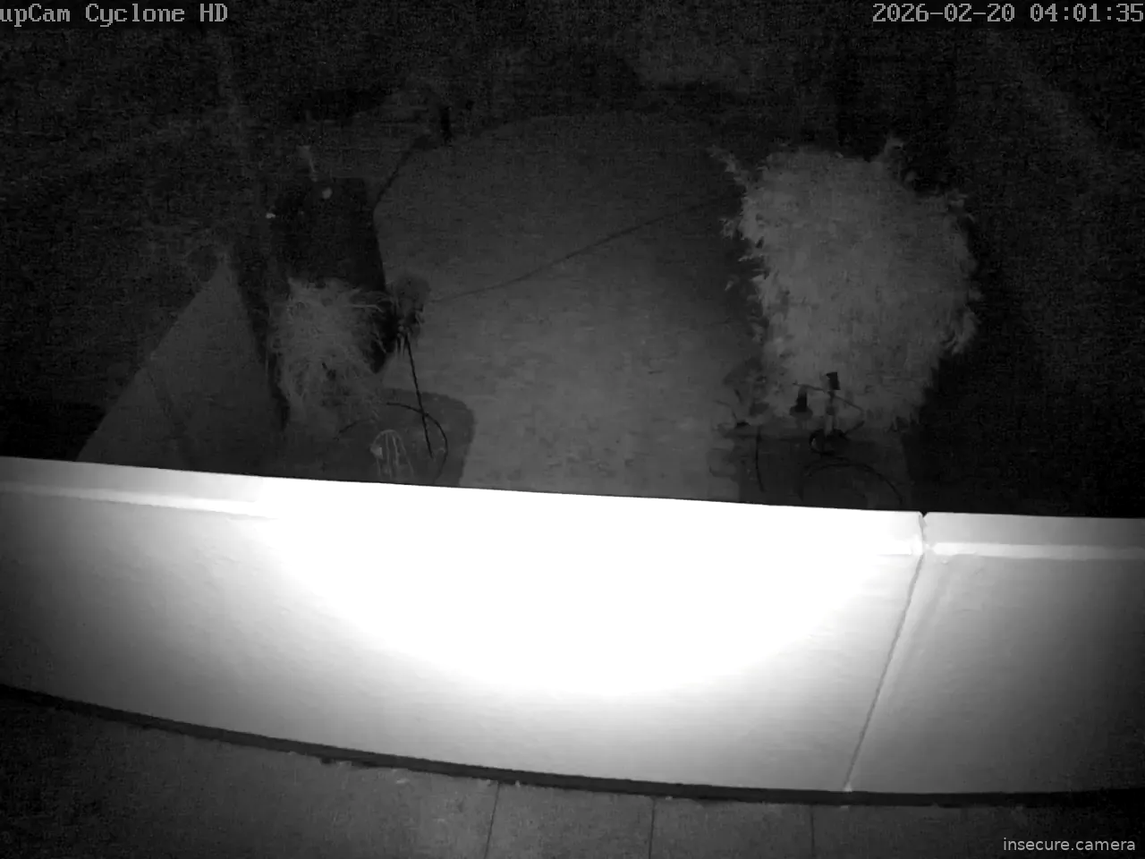 Capture from Feb 20, 2026 at 03:01 AM