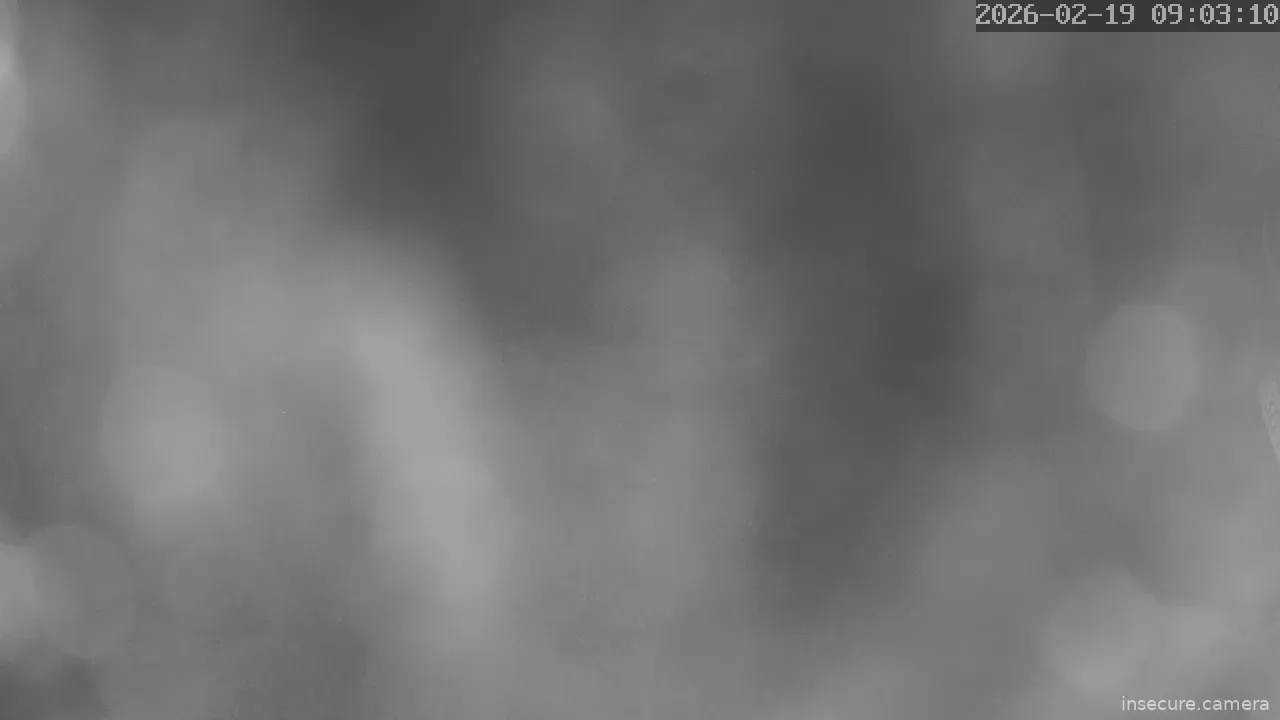 Capture from Feb 19, 2026 at 01:03 AM